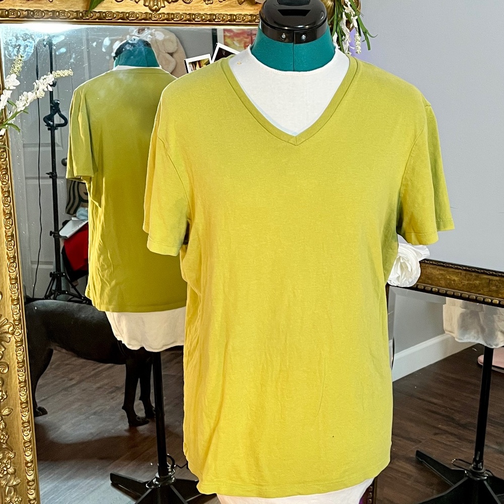 Banana Republic The Soft-Wash Tee in Green